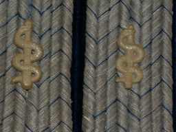 Stacks Image 3476