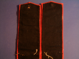 Stacks Image 1569